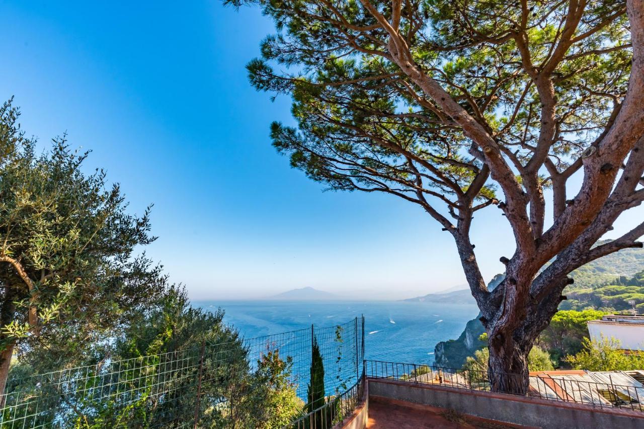 Capri Turquoise By Napoliapartments ภายนอก รูปภาพ